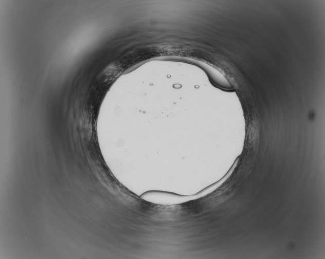 X0000115260429200912111144