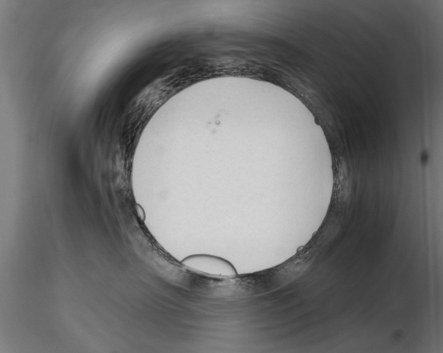 X0000115260430200912111144