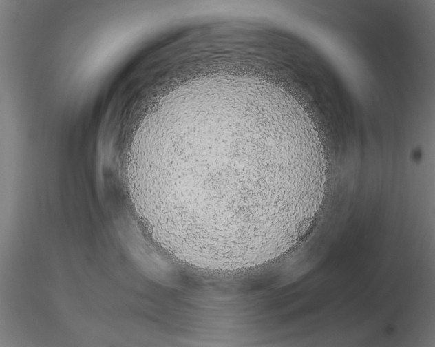 X0000115260431200912111144