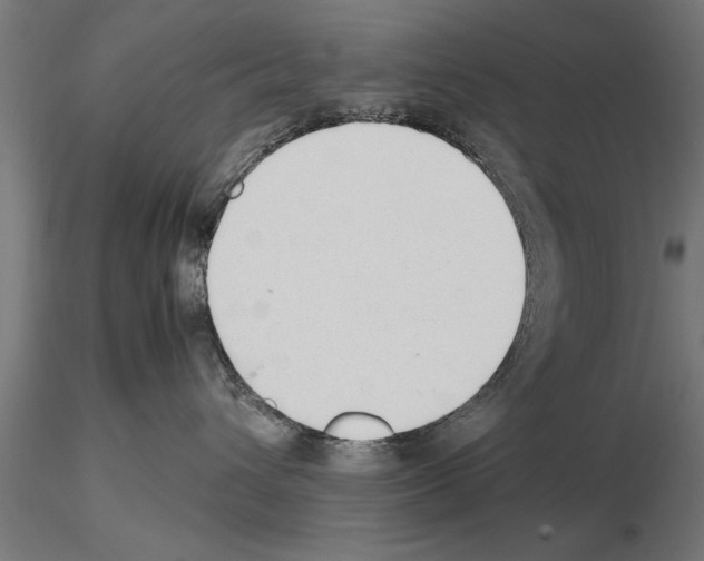 X0000115260432200912111144