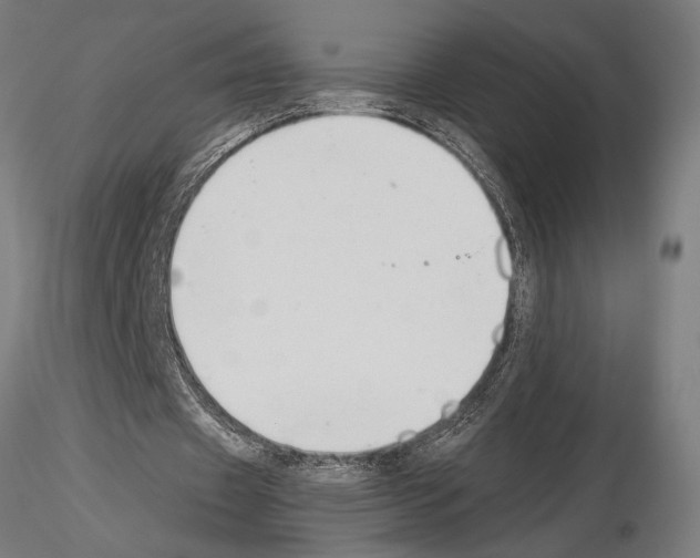 X0000115260433200912111143