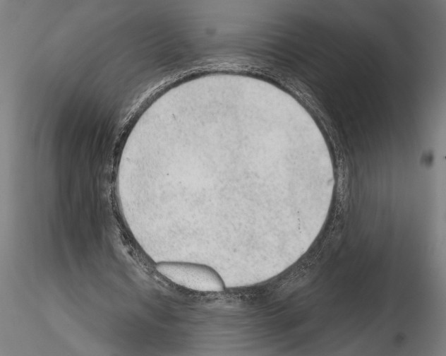 X0000115260434200912111143