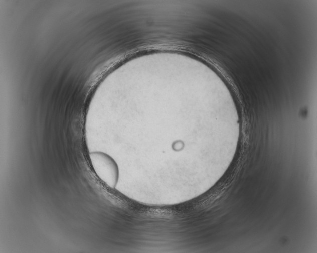 X0000115260437200912111144