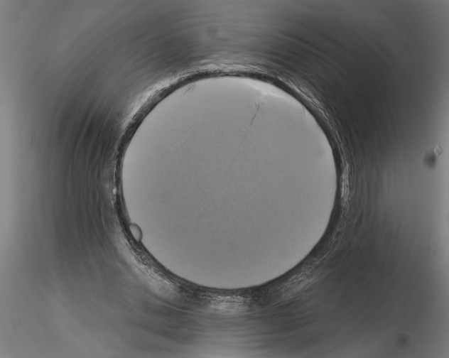 X0000115260438200912111144