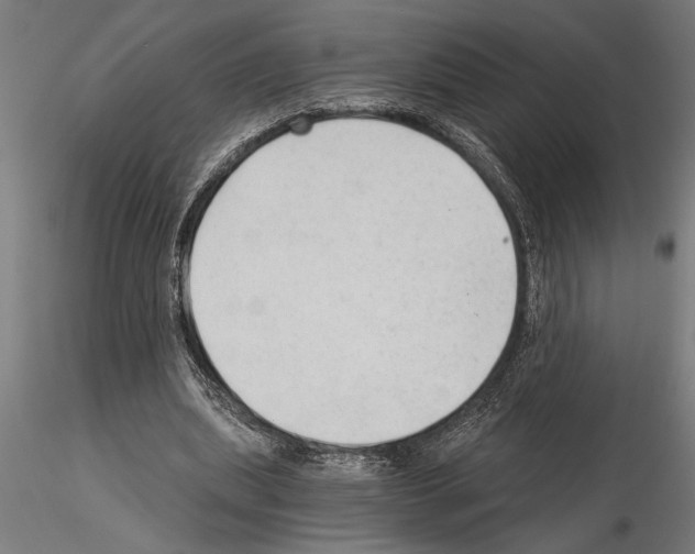 X0000115260439200912111144