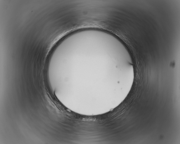 X0000115260440200912111144