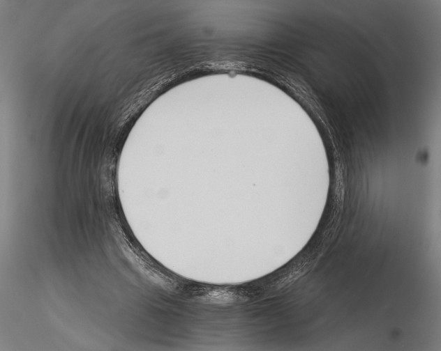 X0000115260441200912111144