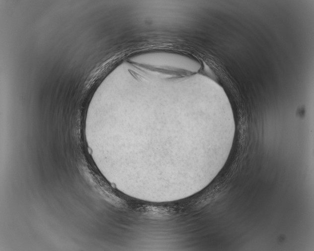 X0000115260442200912111144