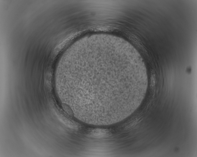 X0000115260444200912111144