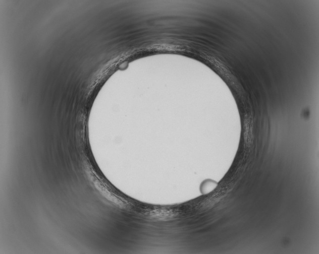 X0000115260445200912111144