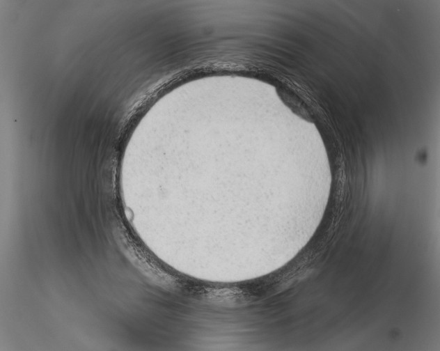 X0000115260446200912111144