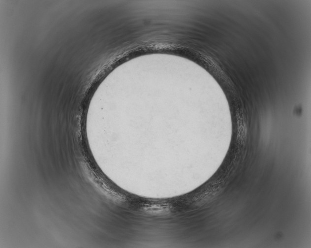 X0000115260447200912111144