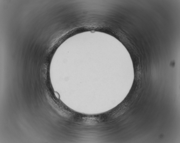 X0000115260448200912111144