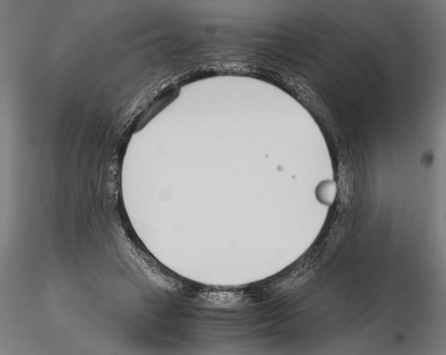 X0000115260449200912111144