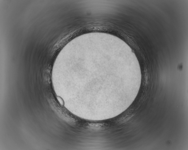 X0000115260450200912111144