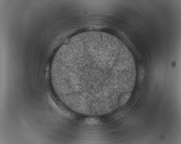 X0000115260451200912111144