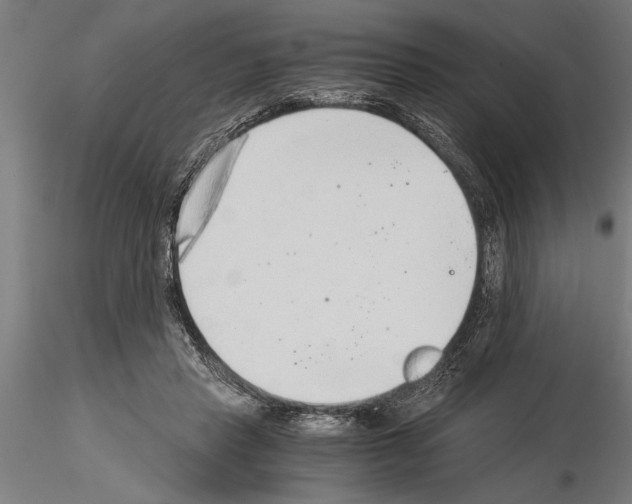 X0000115260453200912111144