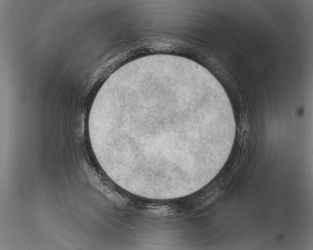 X0000115260454200912111144