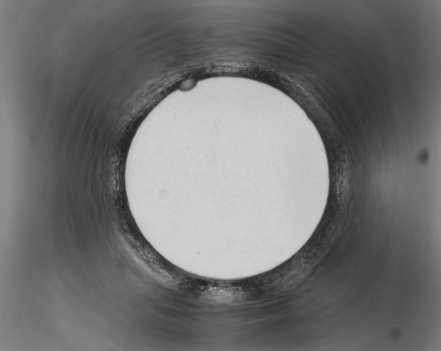 X0000115260455200912111144