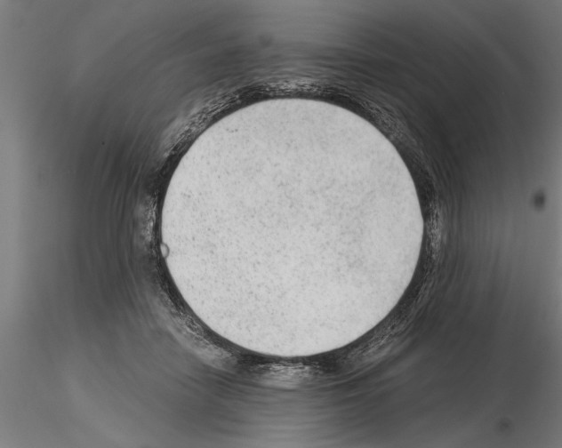 X0000115260458200912111144