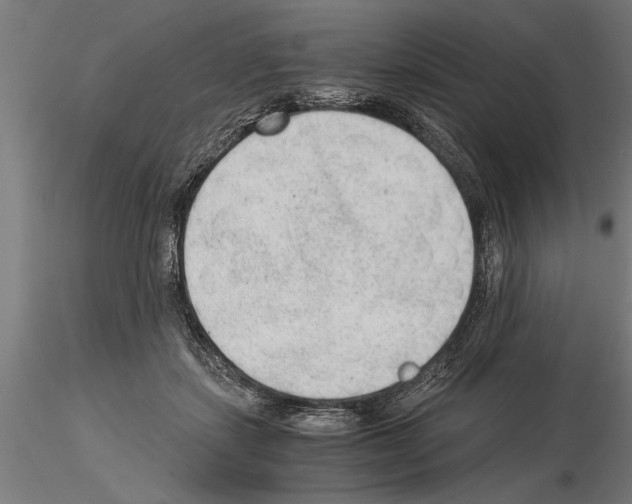 X0000115260459200912111144