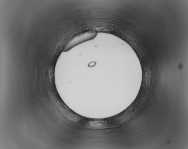 X0000115260461200912111144