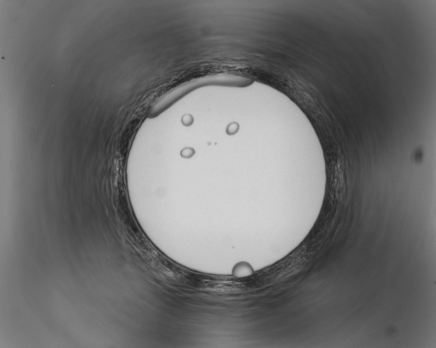 X0000115260463200912111144