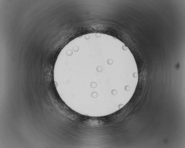 X0000115260464200912111144