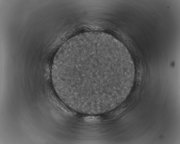 X0000115260465200912111144