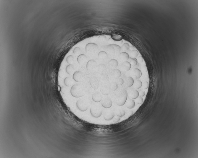 X0000115260466200912111144