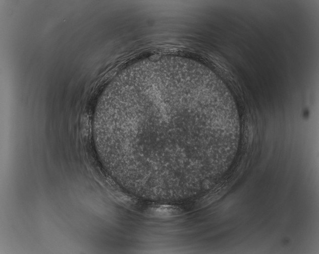 X0000115260467200912111144