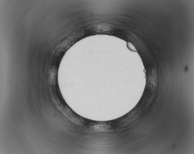 X0000115260468200912111144