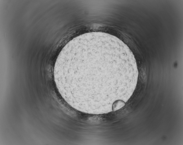 X0000115260470200912111144