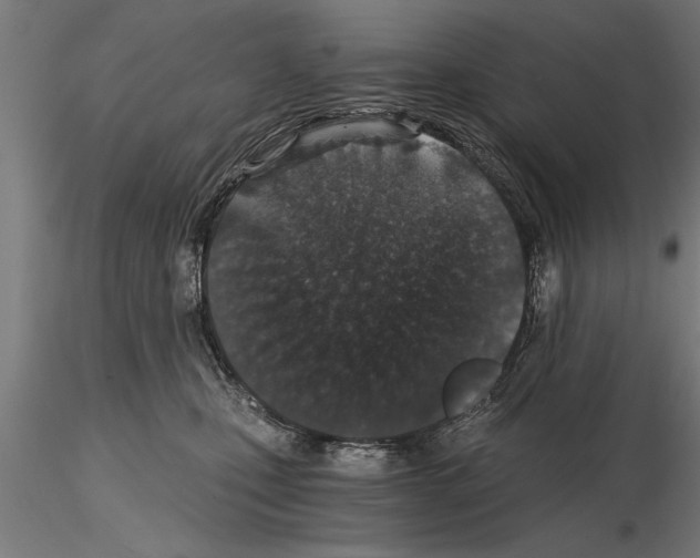 X0000115260471200912111144