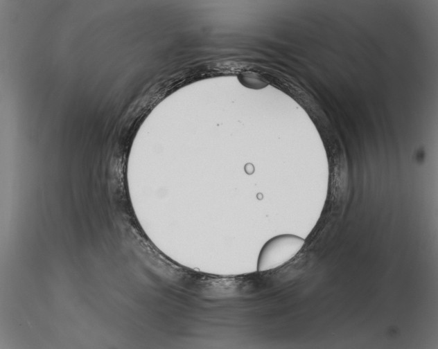 X0000115260473200912111144