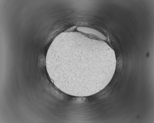 X0000115260474200912111144