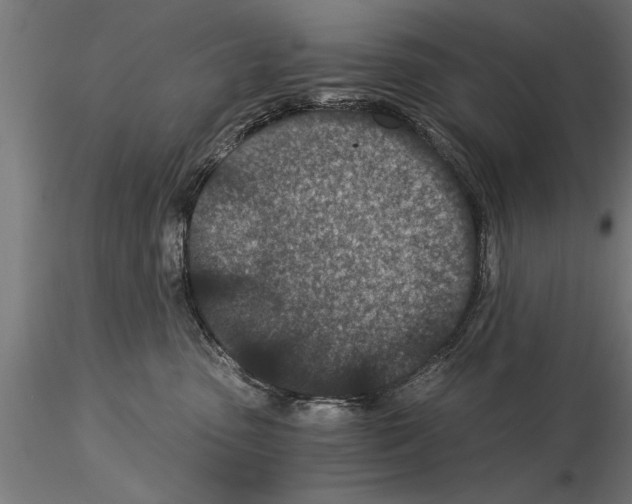 X0000115260475200912111144