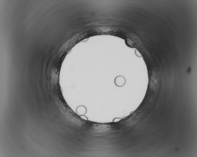 X0000115260476200912111144