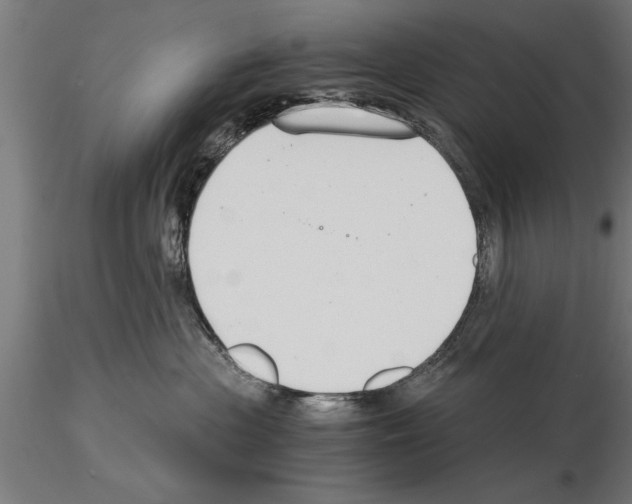 X0000115260477200912111144