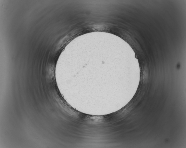 X0000115260478200912111144