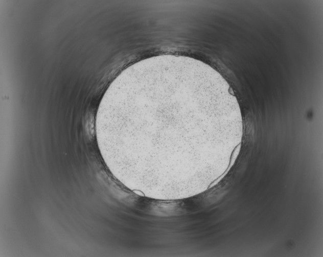 X0000115260479200912111144