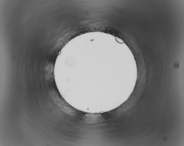 X0000115260480200912111144