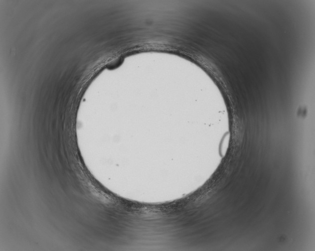 X0000115260481200912111143