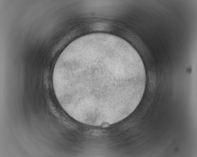 X0000115260482200912111143