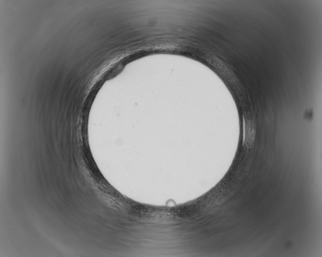 X0000115260483200912111143