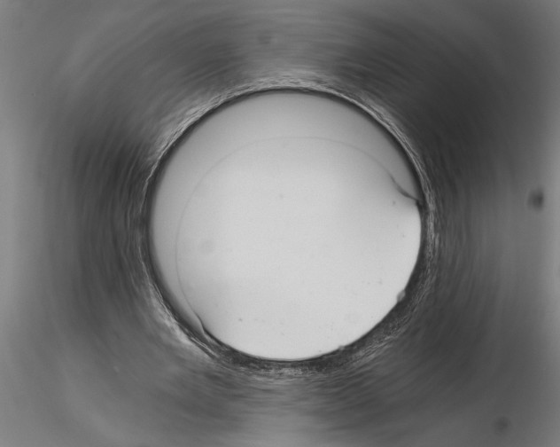 X0000115260485200912111143