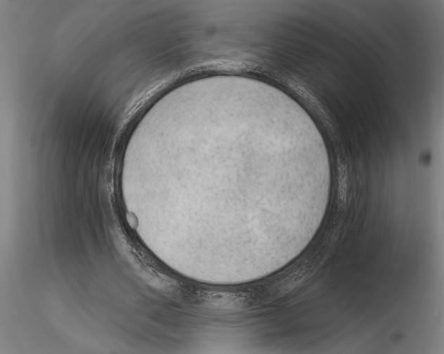 X0000115260486200912111143