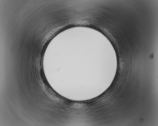 X0000115260487200912111143