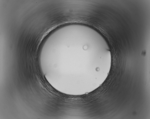 X0000115260488200912111143