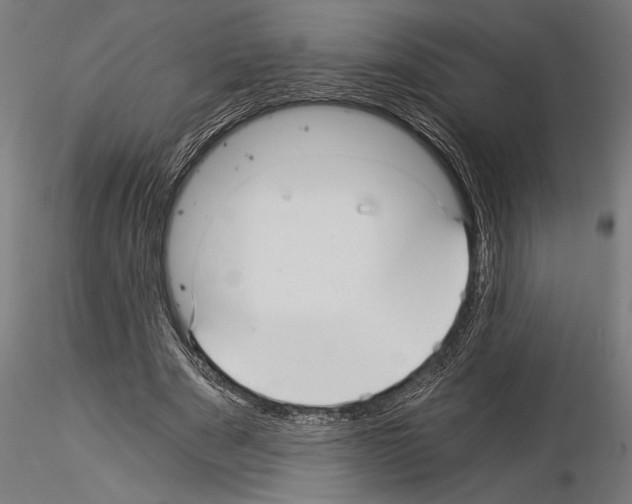 X0000115260489200912111143